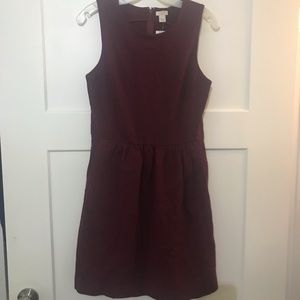 Brand New J. Crew Dress